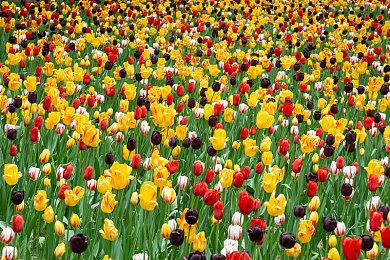 独立俯视角射击游戏《Z字特遣队》更新路线图曝光，将开启限免活动